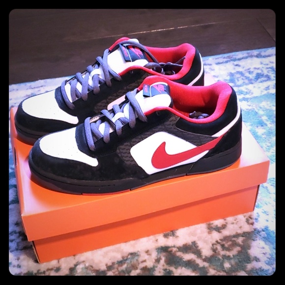 nike skeet skate shoes